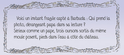 Carnets de bords, détail page 4