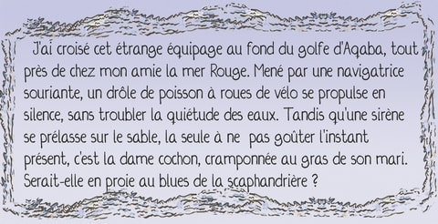 Carnets de bords 2, détail page 4