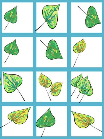 Carte postale, des feuilles