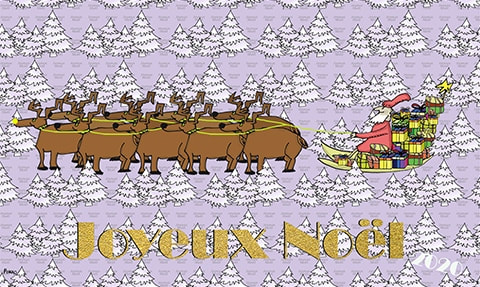 Carte de Noël 2020, les rennes du Père Noël