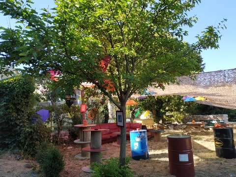 Dans le petit jardin
