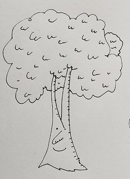 Nappe arbres, esquisse