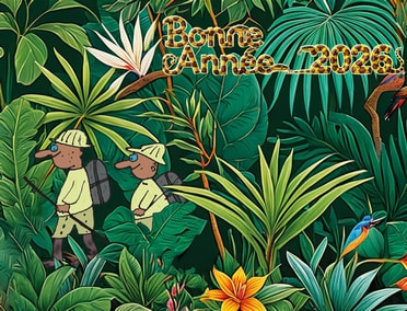 1ère mouture