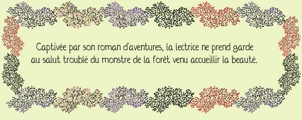 Texte : la belle liseuse