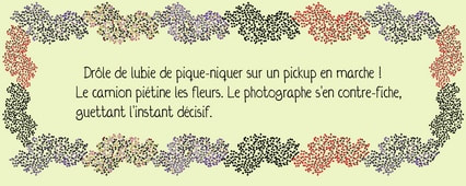 Texte : pique-nique in the car