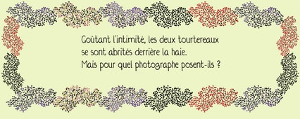 Texte : pique-nique romantique